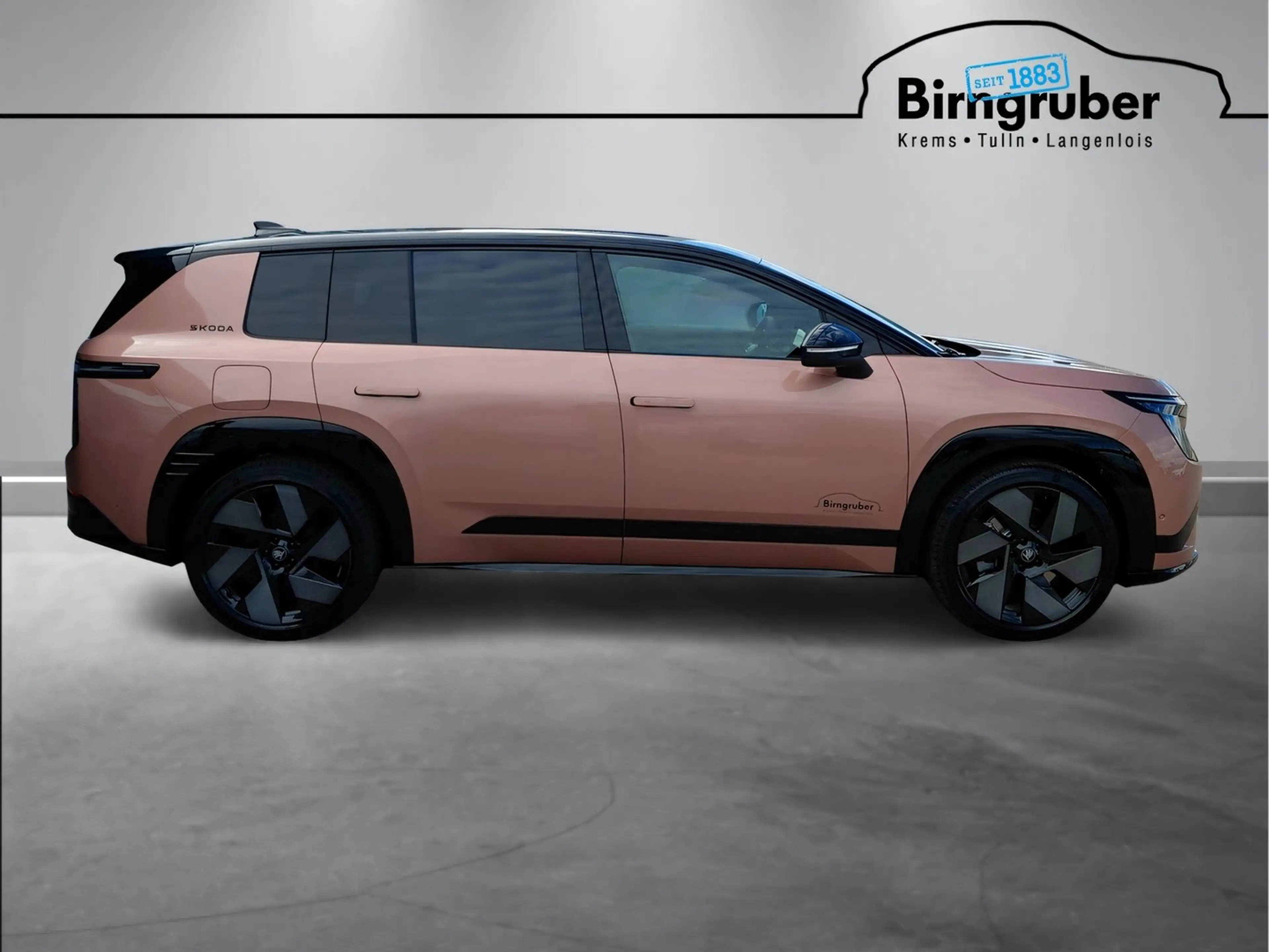 Skoda Peaq Sportline 90x — photo 3