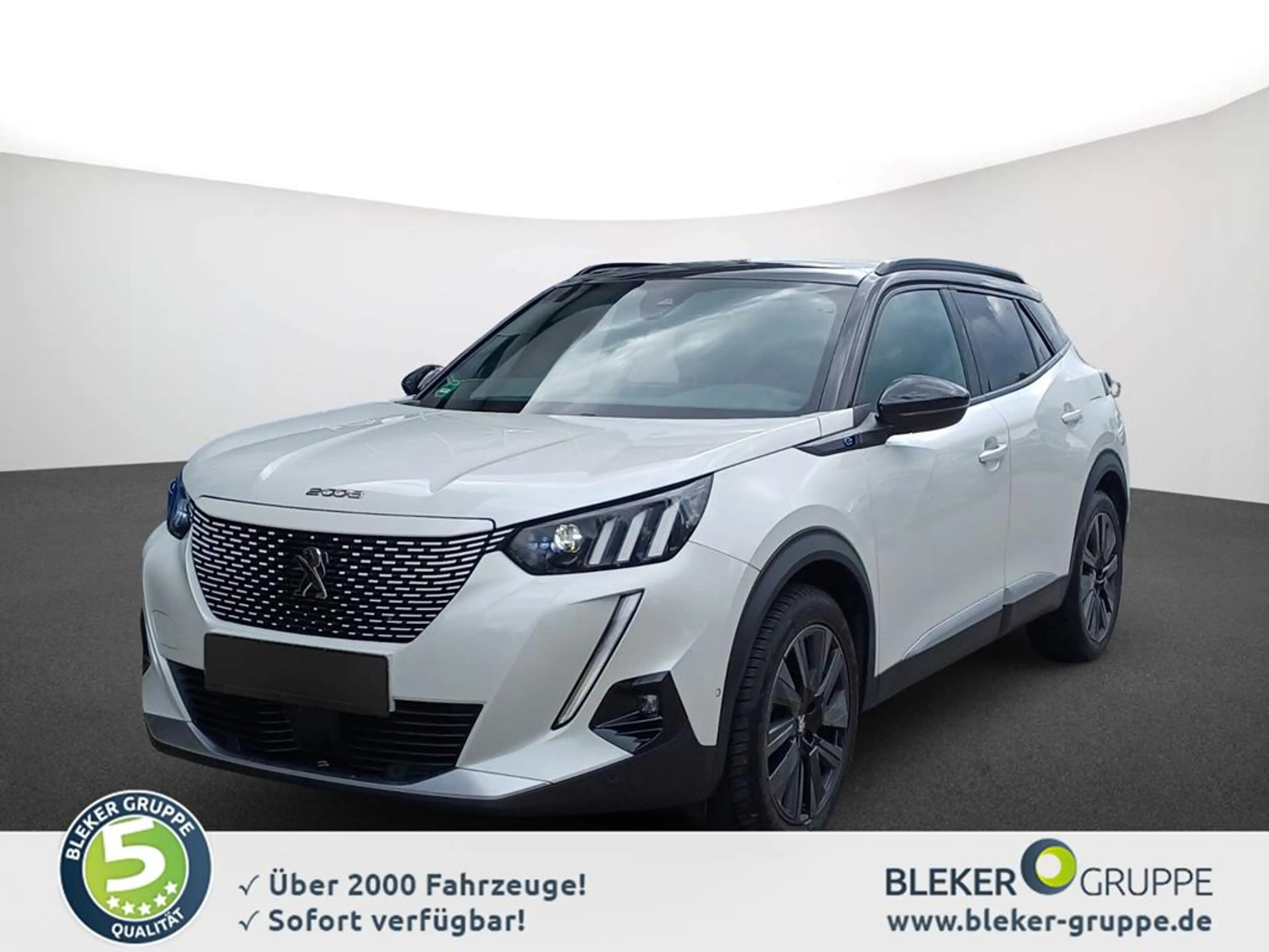 Peugeot 2008 E-2008 GT PACK