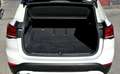 BMW X1 xdrive18d xLine Plus auto - thumbnail 15