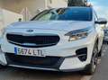 Kia XCeed Active Blanco - thumbnail 7