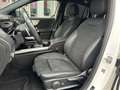 Mercedes-Benz EQA 250 AMG-Line Aut. Blanc - thumbnail 15