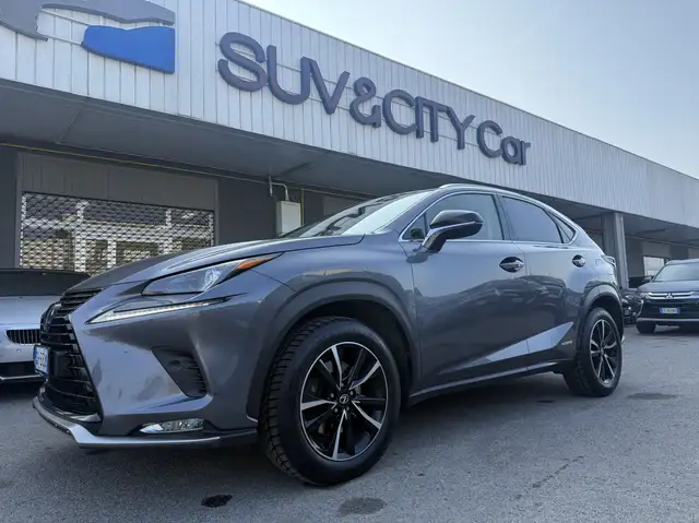 Lexus NX 300 2.5 Business 4wd cvt