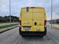 Fiat Ducato 35 2.3 MJT 130CV PM-TM 4X4 ALLESTIMENTO SIRTI Gelb - thumbnail 7