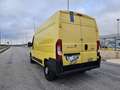 Fiat Ducato 35 2.3 MJT 130CV PM-TM 4X4 ALLESTIMENTO SIRTI Gelb - thumbnail 10