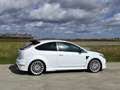 Ford Focus RS 2.5 Turbo 1er propriétaire État concours Wit - thumbnail 18