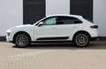 Porsche Macan 2.0 TFSI SPORTPAKET KAMERA AHK 20 ZOLL RS Weiß - thumbnail 14