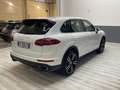 Porsche Cayenne Cayenne 3.0 Diesel Wit - thumbnail 7