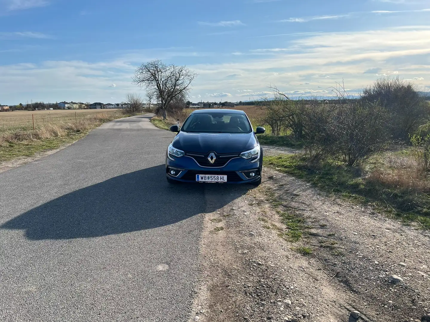 Renault Megane Mégane Limited Energy dCi 90 Limited Blau - 2