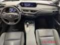 Lexus UX 300e 360 Kamera LED e-Sitze NAVI LenkradHZ Szary - thumbnail 9