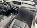 Lexus UX 300e 360 Kamera LED e-Sitze NAVI LenkradHZ Grau - thumbnail 11