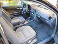 Audi A3 A3 3p 1.6 tdi 90cv Young Edition Nero - thumbnail 12