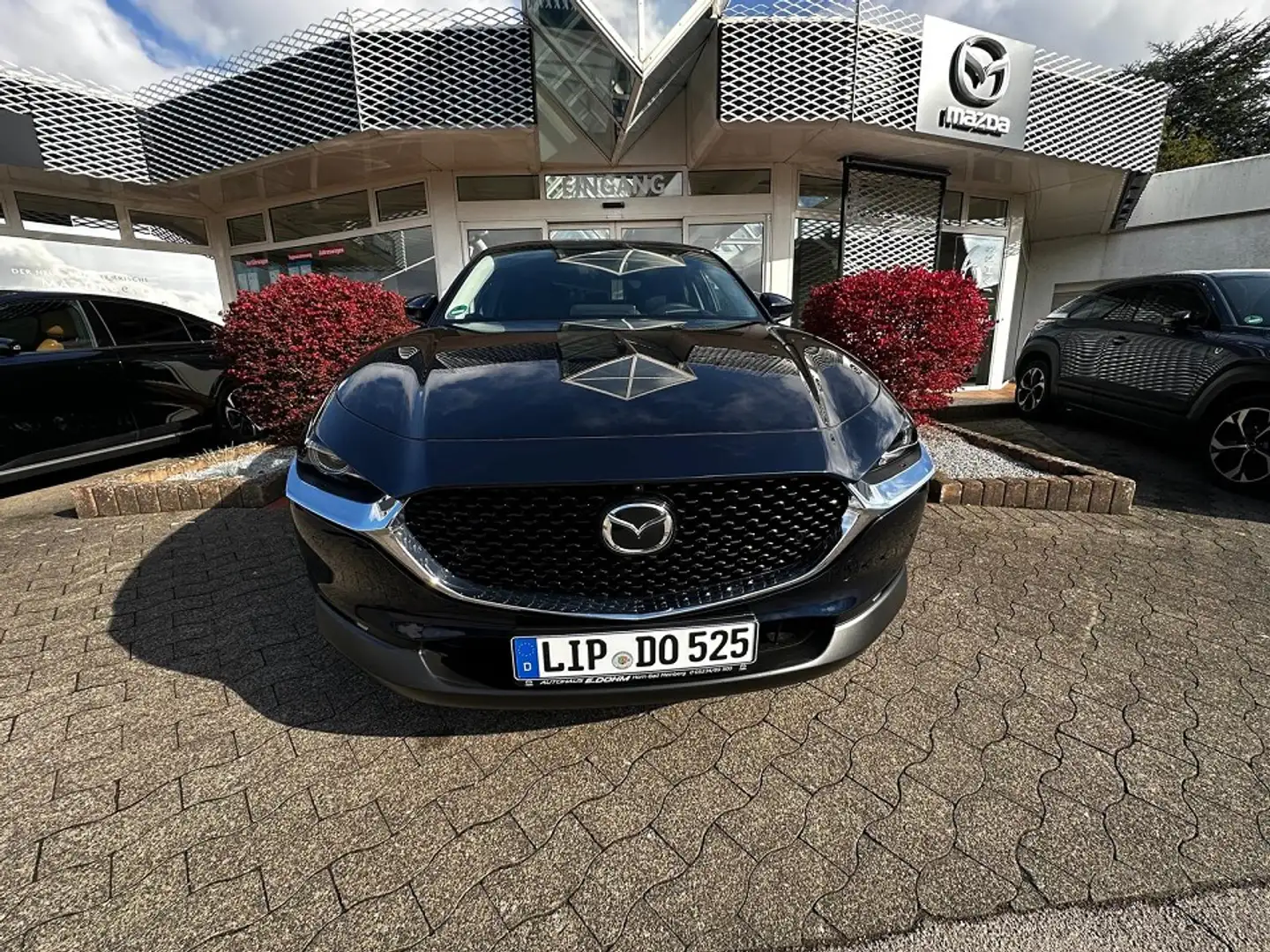 Mazda CX-30 2.5L e-SKYACTIV FWD Exclusive-line Blau - 1