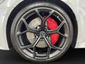 Audi RS6 RS6 Avant perf. AHK Pano LM 22" RS-Abgas 360° He Grau - thumbnail 13
