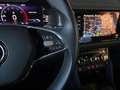 Skoda Kodiaq 1,5 TSI ACT Style Limited 7 Sitze DSG Grau - thumbnail 22