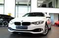 BMW 420 420DA GRAN COUPE *ADVANTAGE* FACELIFT + EXTRA`S! Bianco - thumbnail 14
