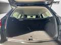 Ford Focus Turnier 1.0 EcoBoost  Cool & Connect SHZ Grau - thumbnail 6