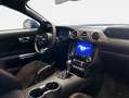 Ford Mustang Mustang GT Convertible, 5,0 l Ti-VCT V8 Blu/Azzurro - thumbnail 10