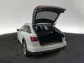 Audi A6 allroad A6 allroad qu. 55 TDI tiptr. AHK 360°K PDC NAVI Blanco - thumbnail 6