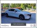 Mazda 3 2026 5HB 2.5L e-SKYACTIV G 140ps 6MT 2WD CE Weiß - thumbnail 1