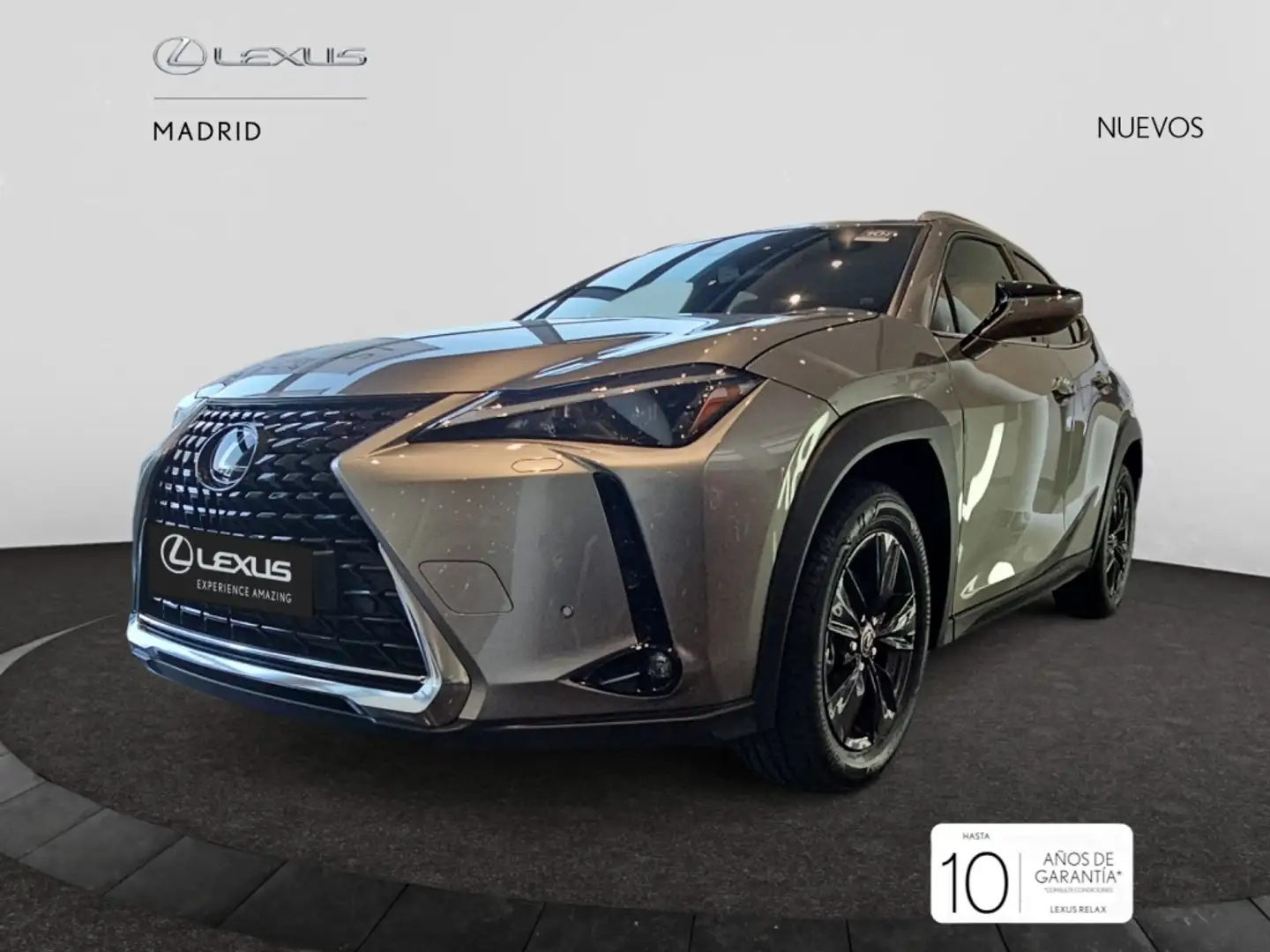 Lexus UX 300h F Sport 2WD Grigio - 2