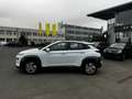 Hyundai KONA EV mtl. ab 210,99€ ohne Anzahlung Weiß - thumbnail 6