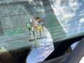 Fiat Punto 5p 1.1 S 55cv SOLO 45mila KM - thumbnail 9