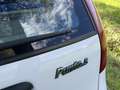Fiat Punto 5p 1.1 S 55cv SOLO 45mila KM - thumbnail 8