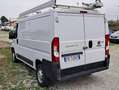 Fiat Ducato 3000 CNG PM TN Allestito Bianco - thumbnail 10