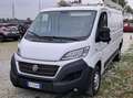 Fiat Ducato 3000 CNG PM TN Allestito Bianco - thumbnail 1