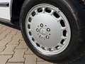Mercedes-Benz 420 SL V8 R107 dt.Fzg. aus 1.Hd. mit orig. 35tkm Blanco - thumbnail 16