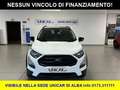 Ford EcoSport 1.000 BENZINA 125 CV ACTIVE Bianco - thumbnail 2