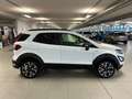 Ford EcoSport 1.000 BENZINA 125 CV ACTIVE Bianco - thumbnail 7