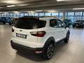 Ford EcoSport 1.000 BENZINA 125 CV ACTIVE Bianco - thumbnail 6