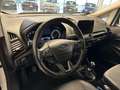 Ford EcoSport 1.000 BENZINA 125 CV ACTIVE Bianco - thumbnail 9