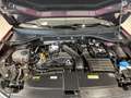 Volkswagen T-Roc Cabriolet 1.5 TSI R-Line *MATRIX*KAMERA*NAVI* Rot - thumbnail 8