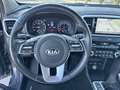 Kia Sportage 1.6 ECOGPL BUSINESS CLASS 2WD Grigio - thumbnail 20