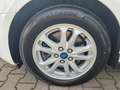 Ford Grand Tourneo Connect Trend Navi Klima PDC KAM Blanco - thumbnail 21