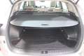 Hyundai TUCSON 1.6 CRDI 115 CV EXECUTIVE 2WD Beige - thumbnail 36