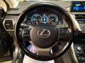 Lexus NX 300 NX Hybrid 4WD Luxury Grigio - thumbnail 14