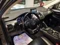 Lexus NX 300 NX Hybrid 4WD Luxury Grigio - thumbnail 10