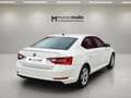Skoda Superb 2.0 TDI 110KW Active Blanco - thumbnail 2