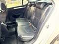 Skoda Superb 2.0 TDI 110KW Active Blanco - thumbnail 13