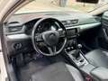 Skoda Superb 2.0 TDI 110KW Active Blanco - thumbnail 7