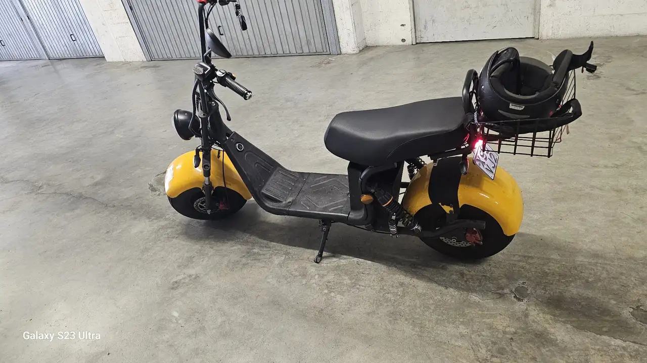 Ecooter E1R