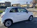 Fiat 500 1.2 Lounge 69cv NEOPATENTATI Bianco - thumbnail 5