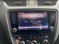 Skoda Octavia 2.0 TDI DPF Tour KLIMA NAVI Sitzh.  Tour crna - thumbnail 34