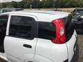 Fiat Panda 1.0 Van 2 Sitzer - LKW Zul. + Klima + Sofort Verf Blanc - thumbnail 13