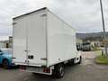 Renault Master Master T35 2.3 dCi 145 PL Gran Volume 20 Ice - IV Bianco - thumbnail 5