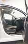 Citroen C3 C3 1.6 bluehdi Exclusive 75cv Bianco - thumbnail 8