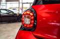 smart forFour passion*Cool&Media*PDC*Ambient*15 Rot - thumbnail 12